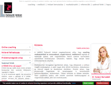 Tablet Screenshot of lfi.hu